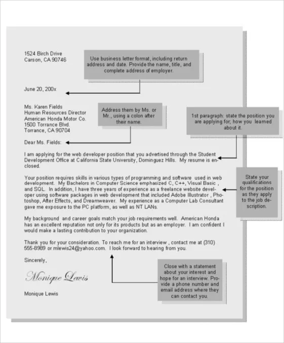 37465 web developer skills