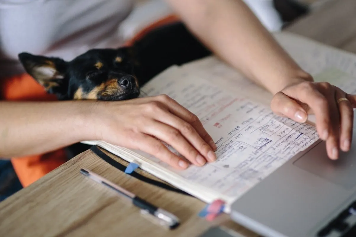 37467 proofreading formatting